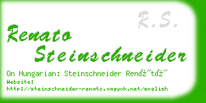 renato steinschneider business card